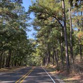 Review photo of Huntsville State Park Campground by Daniel L., October 11, 2022