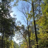 Review photo of Huntsville State Park Campground by Daniel L., October 11, 2022