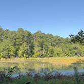 Review photo of Huntsville State Park Campground by Daniel L., October 11, 2022