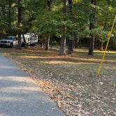 Review photo of Huntsville State Park Campground by Daniel L., October 11, 2022