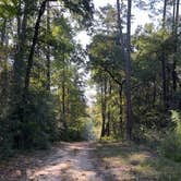 Review photo of Huntsville State Park Campground by Daniel L., October 11, 2022