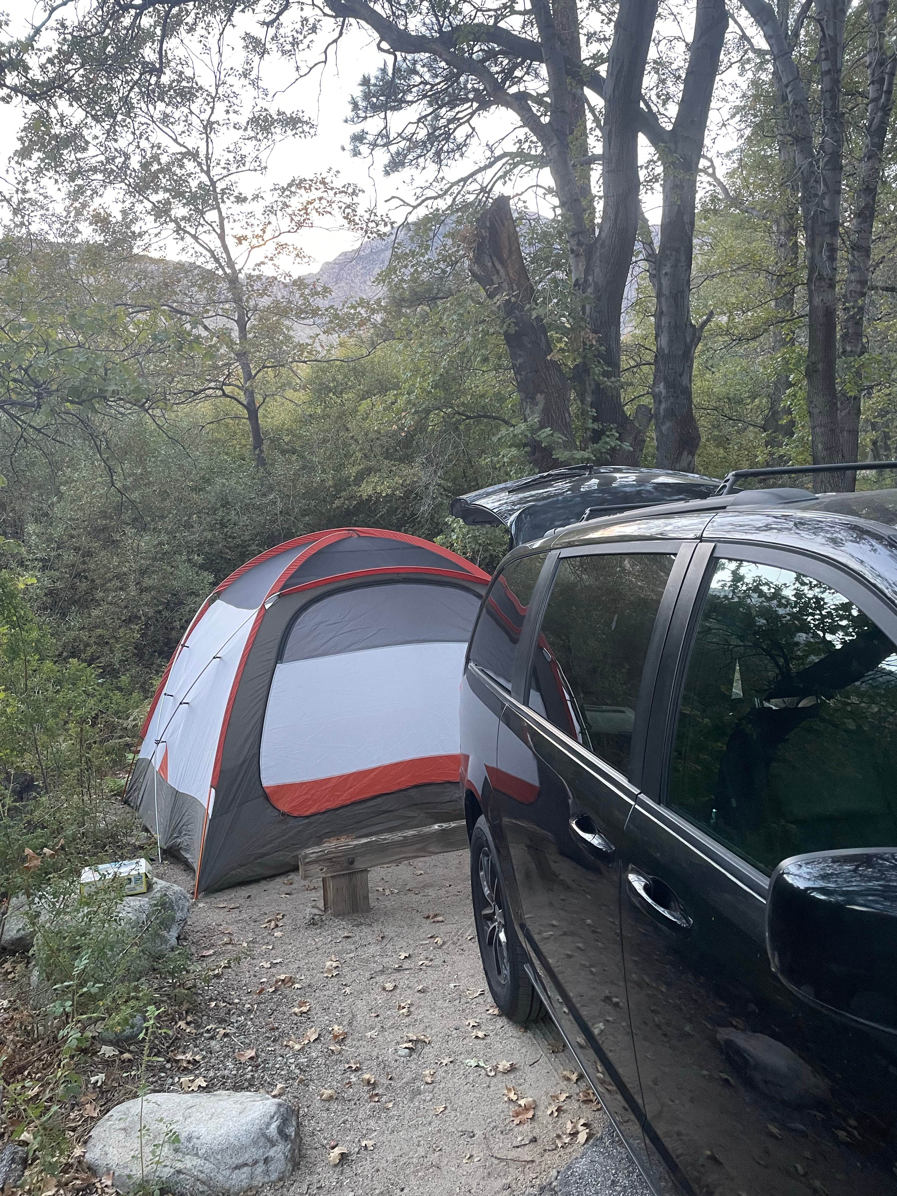 Randall G.'s photo at Grays Meadows near Sequoia & Kings Canyon National Parks