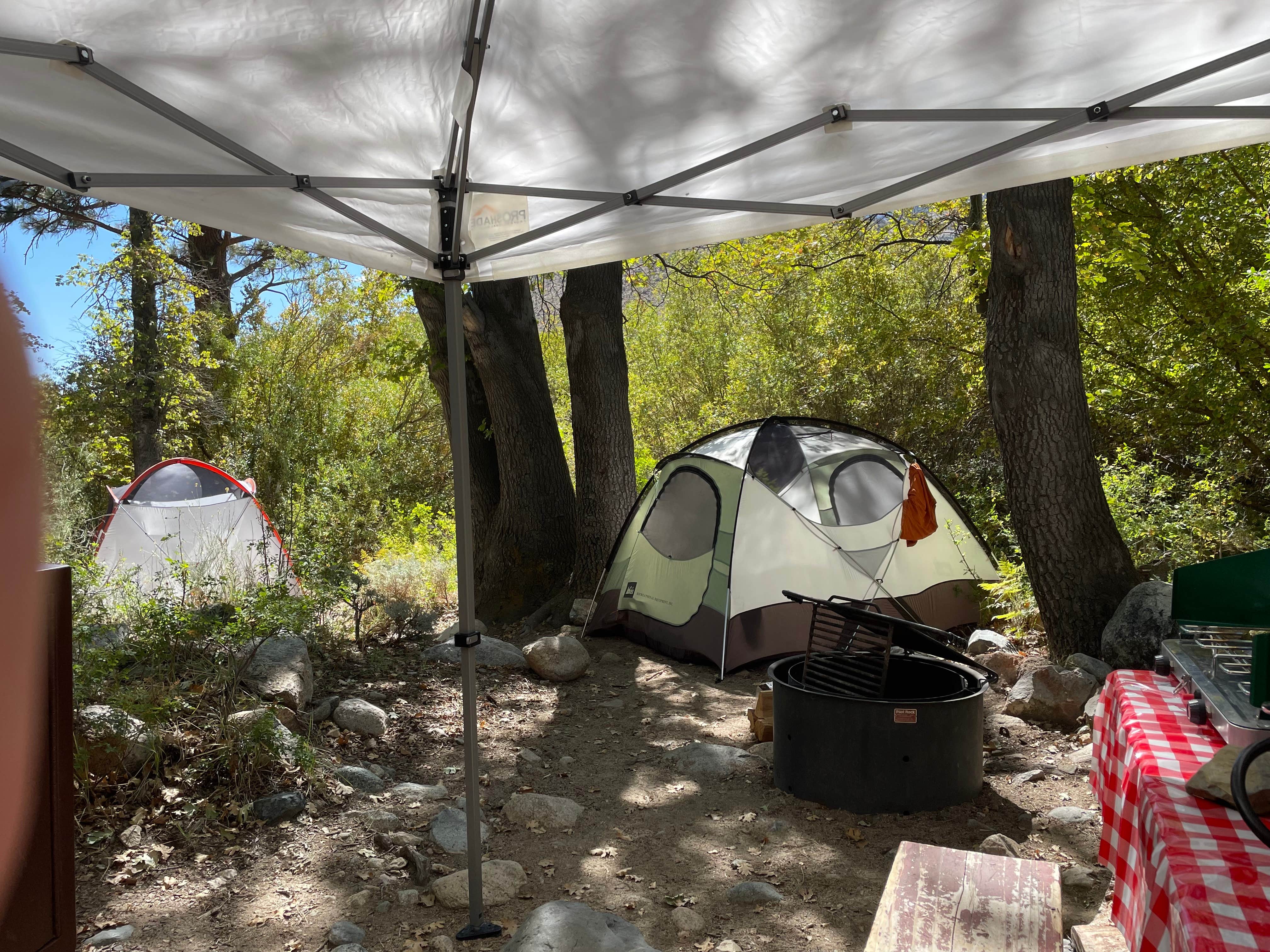 Randall G.'s photo at Grays Meadows near Seven Pines, CA