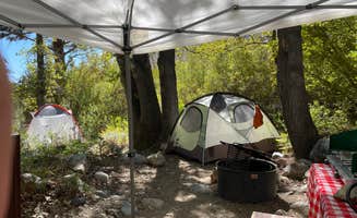 Randall G.'s photo at Grays Meadows near Alabama Hills, CA
