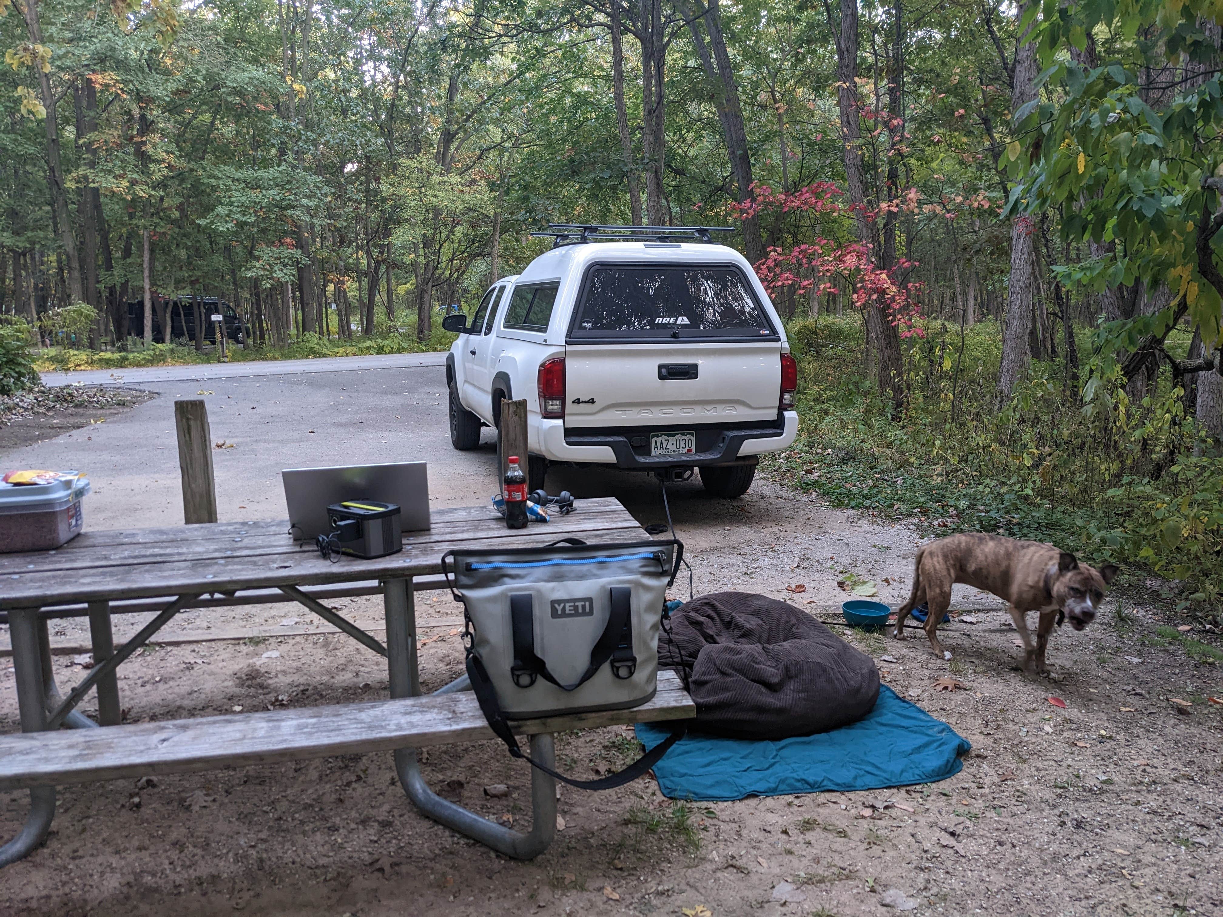Madeline's photo at Dunewood Campground — Indiana Dunes National Park near Chesterton, IN