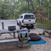Review photo of Dunewood Campground — Indiana Dunes National Park by Madeline , October 11, 2022