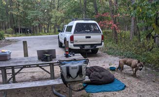 Madeline's photo at Dunewood Campground — Indiana Dunes National Park near Gary, IN