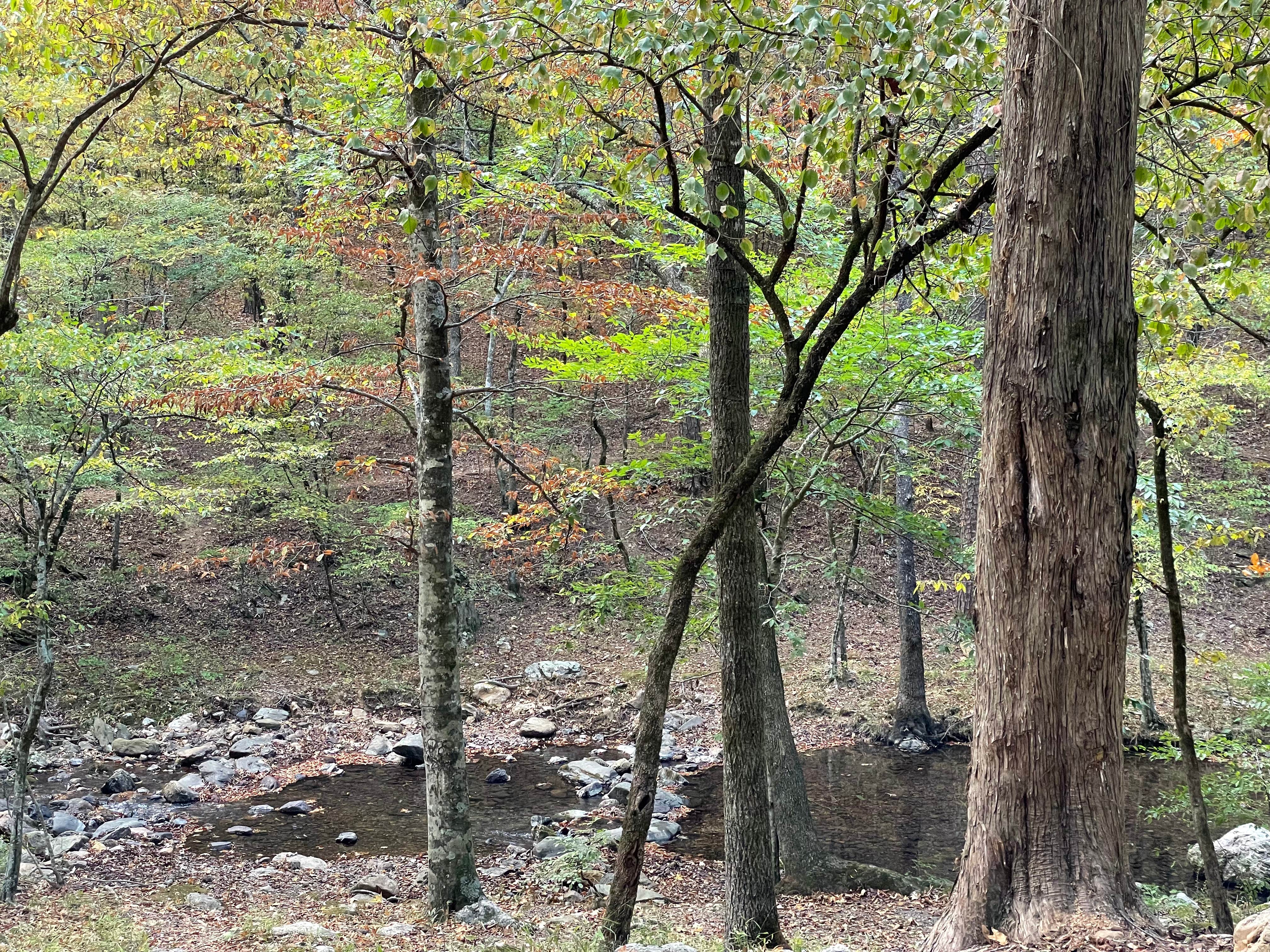 Camper-submitted photo at Shady Lake Campground near Gillham Lake