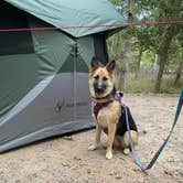 Review photo of Buckhorn Campground Loop C — Chickasaw National Recreation Area by Nathaniel S., October 11, 2022