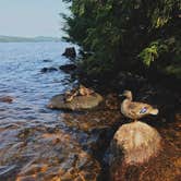 Review photo of Cranberry Lake - DEC by Bethany S., September 6, 2018