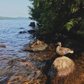 Review photo of Cranberry Lake  - DEC by Bethany S., September 6, 2018