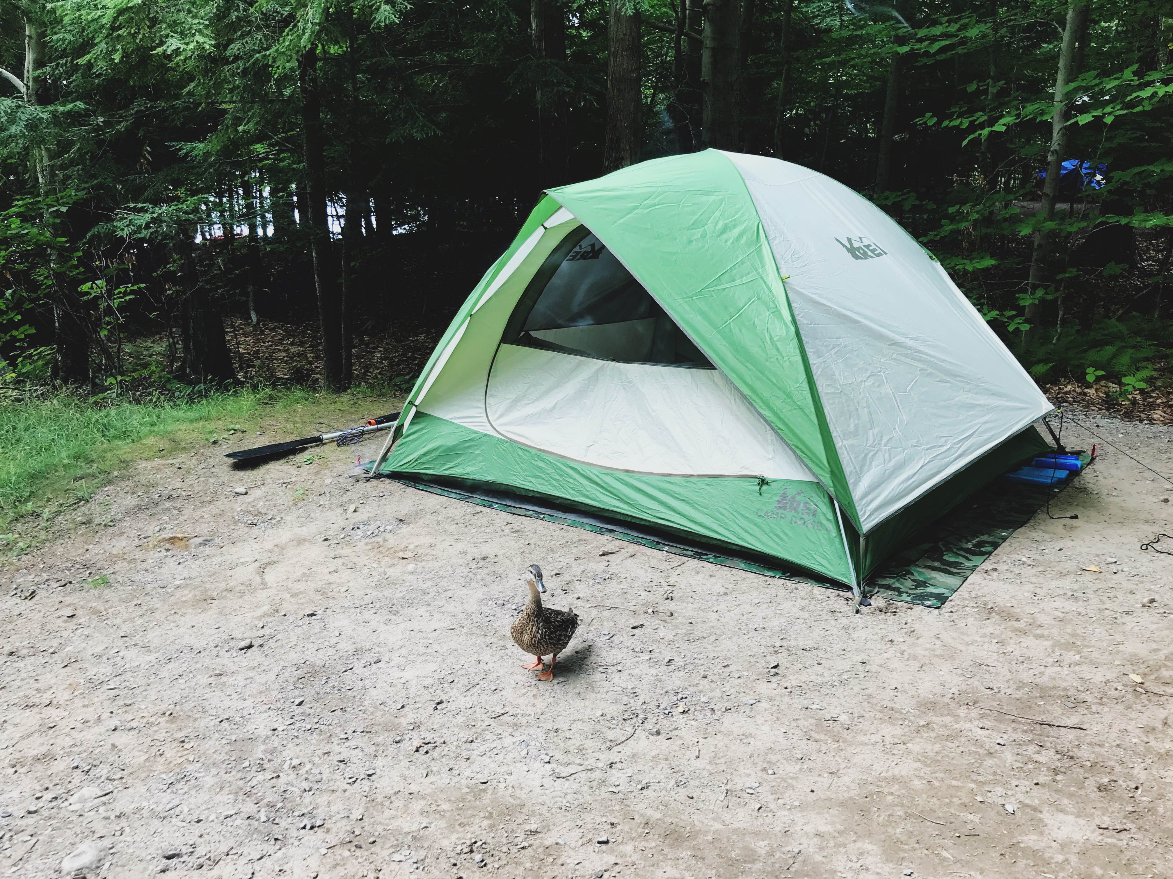 Bethany S.'s photo at Cranberry Lake Campground near Potsdam, NY