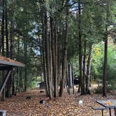 Review photo of Little River State Park Campground by Katy Z., October 11, 2022