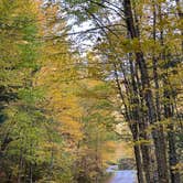 Review photo of Little River State Park Campground by Katy Z., October 11, 2022