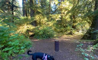 Katie B.'s photo of camping with pets at Mora Campground — Olympic National Park near La Push, WA