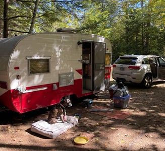 Camper-submitted photo from Meredith Woods Four Season Camping
