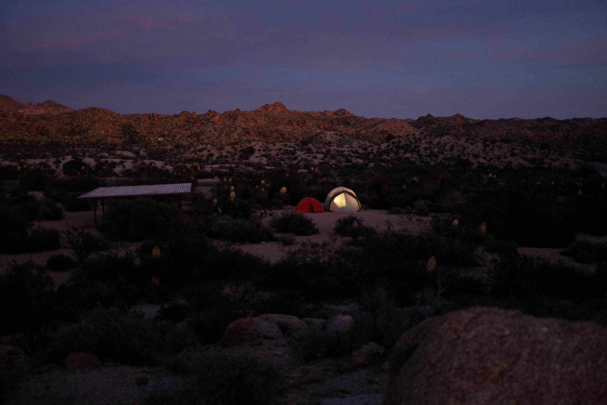 Sunshine S.'s photo at Cottonwood Campground — Joshua Tree National Park near Joshua Tree National Park