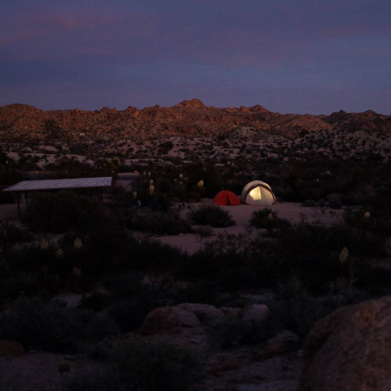 Cottonwood Campground Joshua Tree National Park Camping The Dyrt