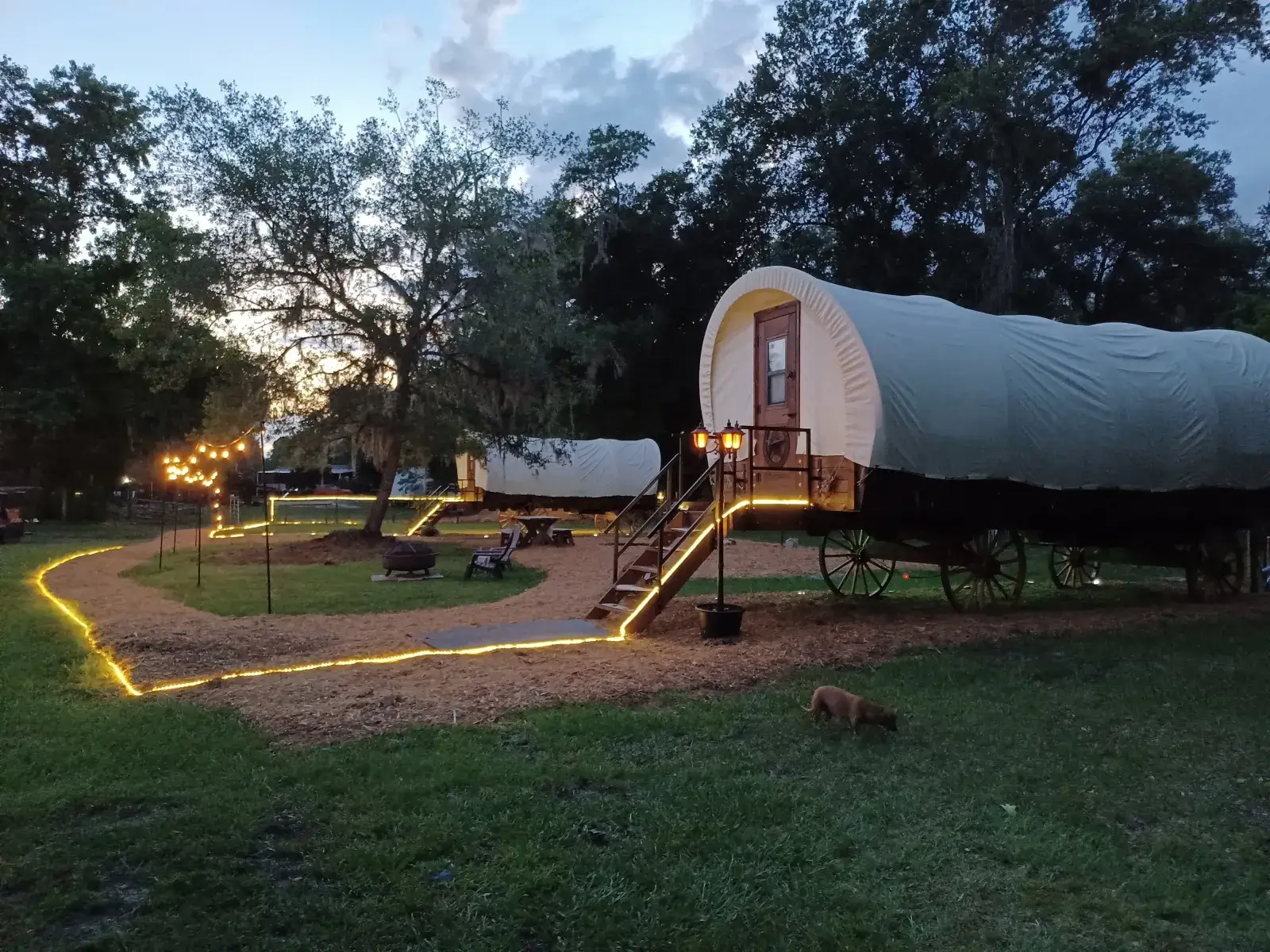 Camper-submitted photo at Rooterville Animal Sanctuary near Waldo, FL