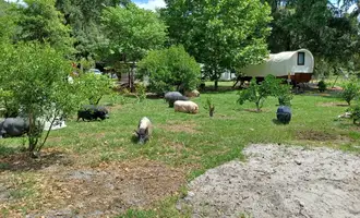 Camping near Connors Family Campsite: Rooterville Animal Sanctuary, Florahome, Florida