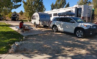 Bill M.'s photo of camping with pets at Iron Horse RV Resort near Spring Creek, NV