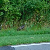 Review photo of Geneva State Park Campground by Linda S., September 6, 2018