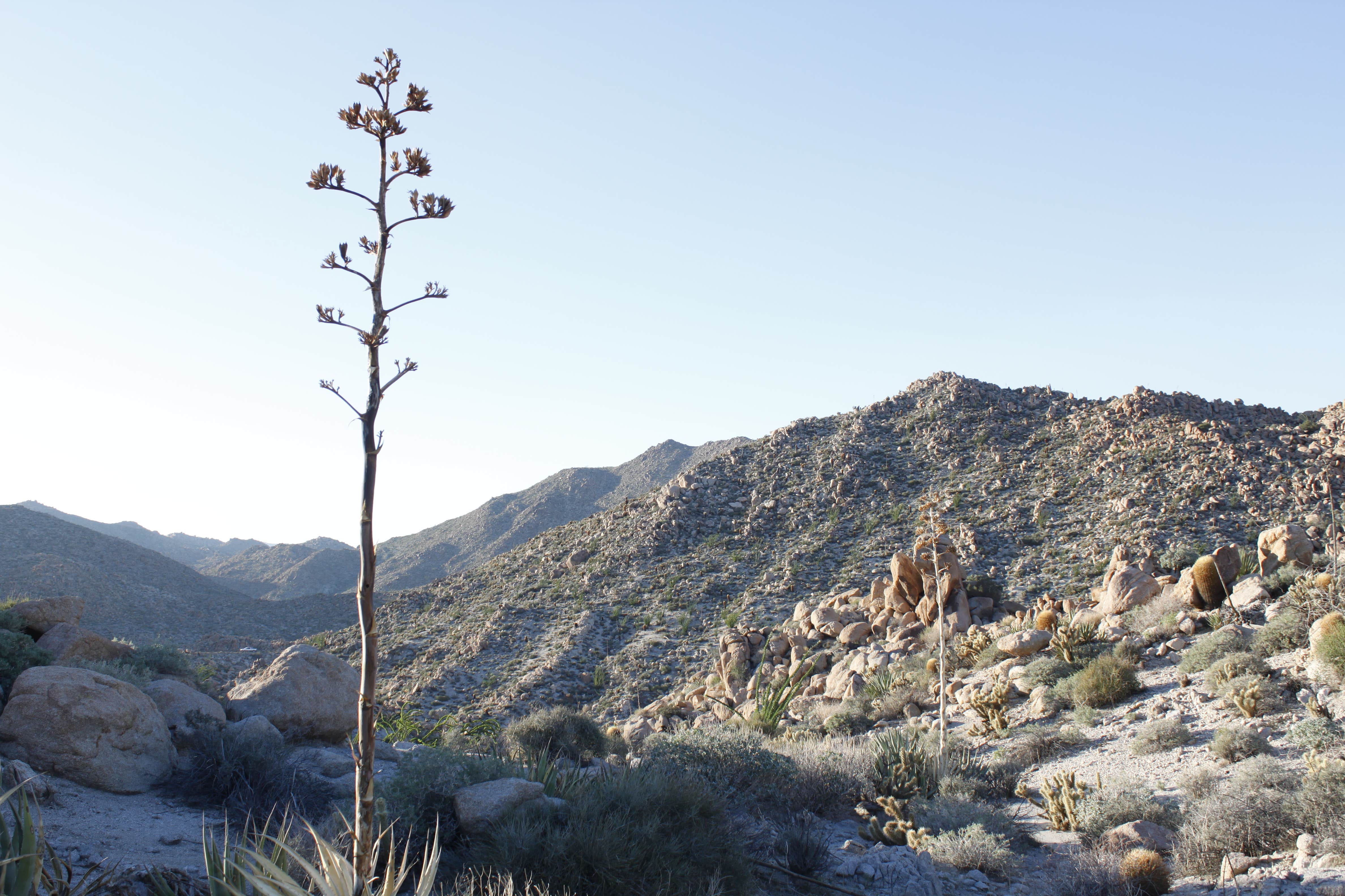 Camper-submitted photo at Smuggler's Gulch Dispersed near Calexico, CA