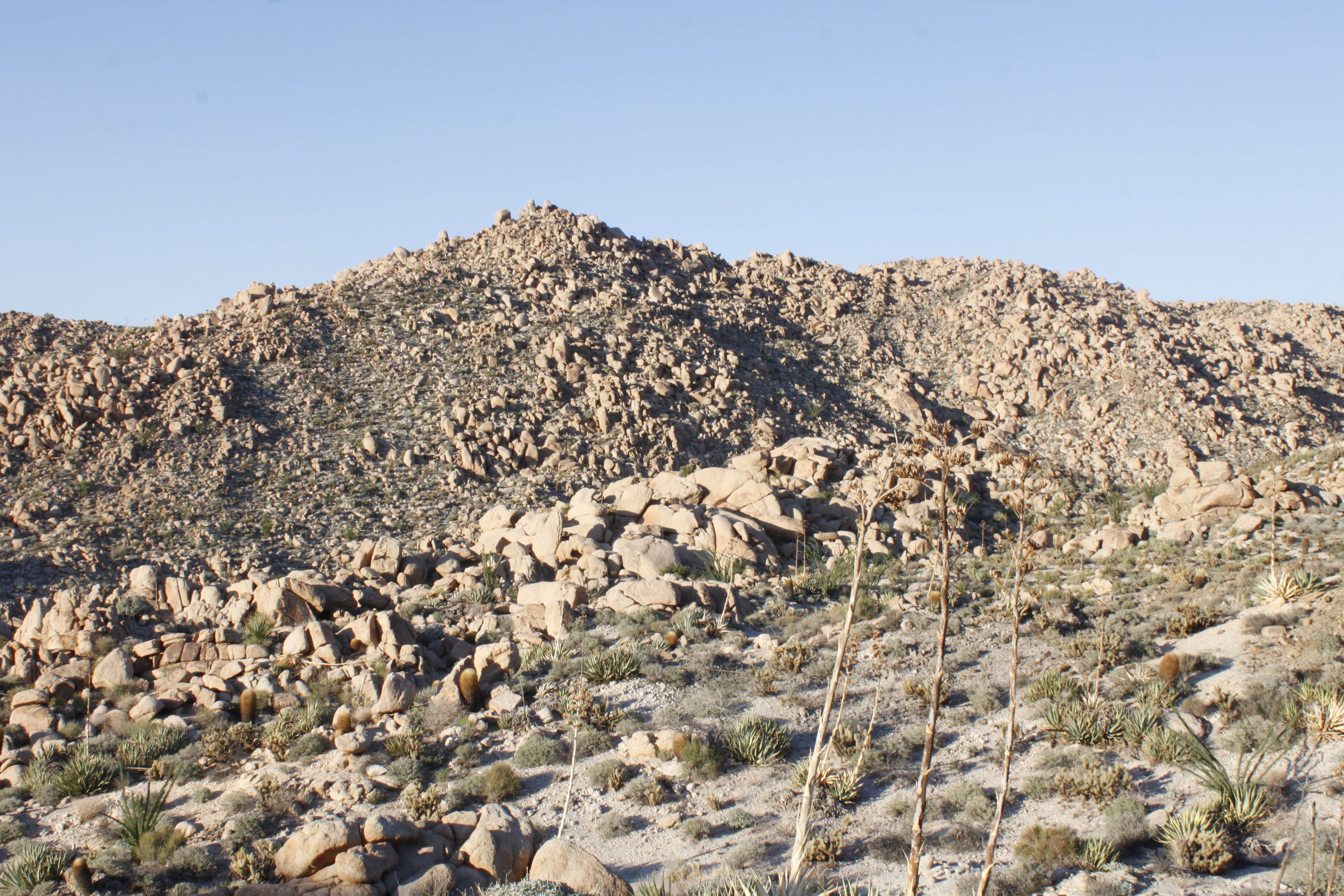 Camper-submitted photo at Smuggler's Gulch Dispersed near Calexico, CA