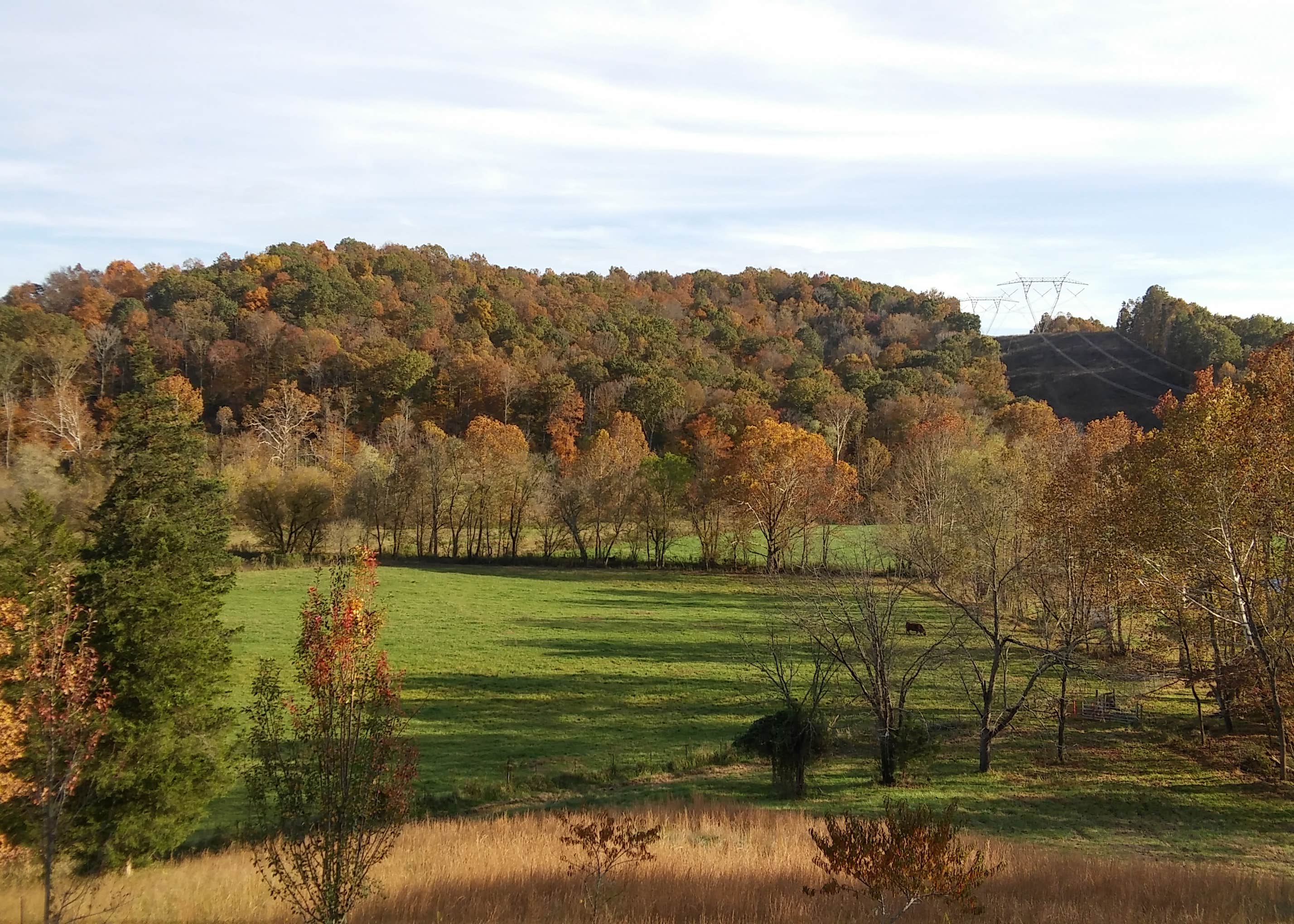 View All