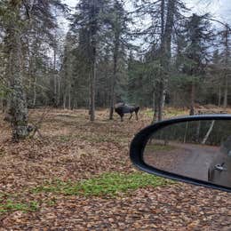 Black Spruce Campground