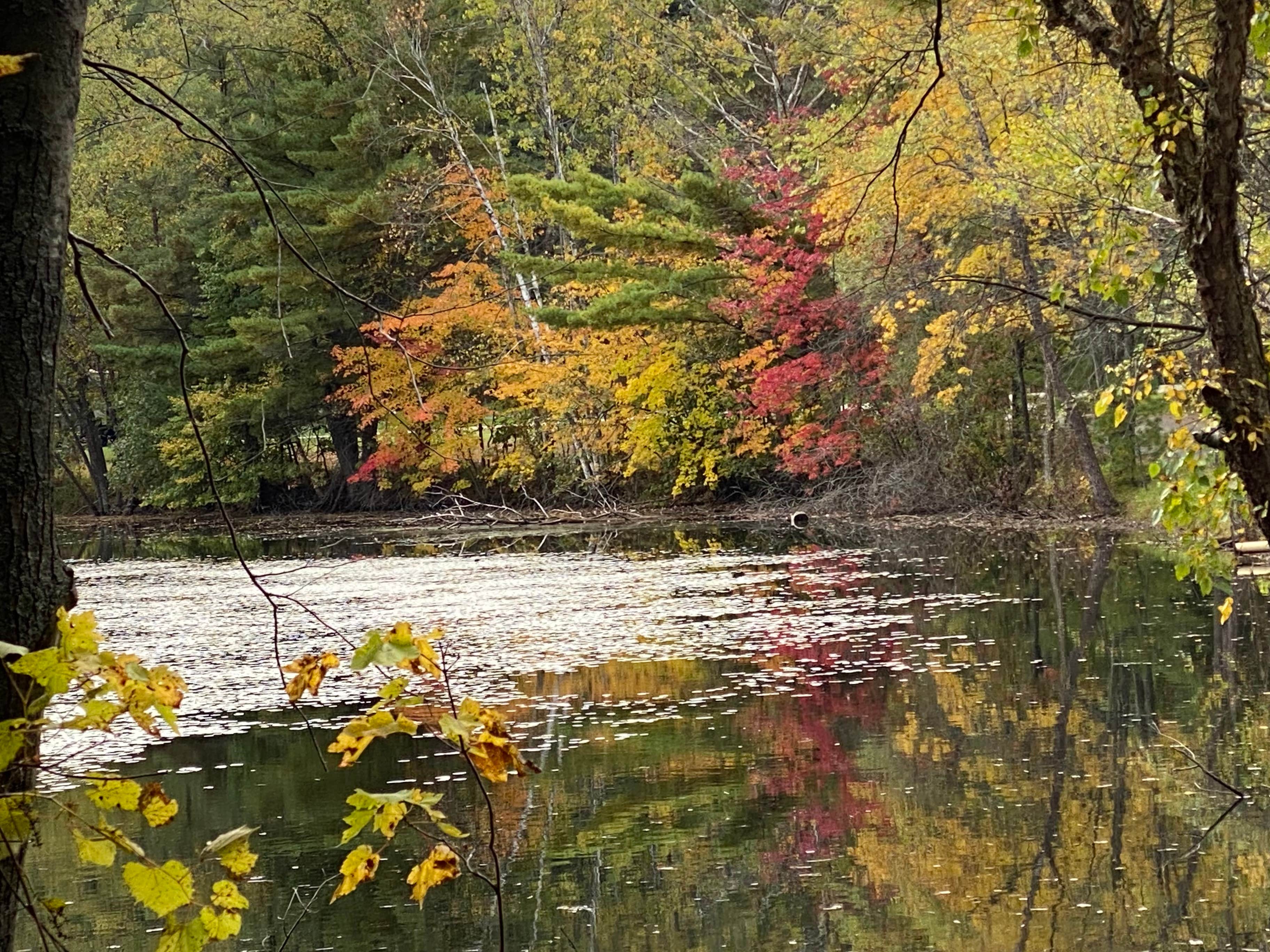 Camper-submitted photo at Ho-Chunk RV Resort & Campground near Coloma, WI