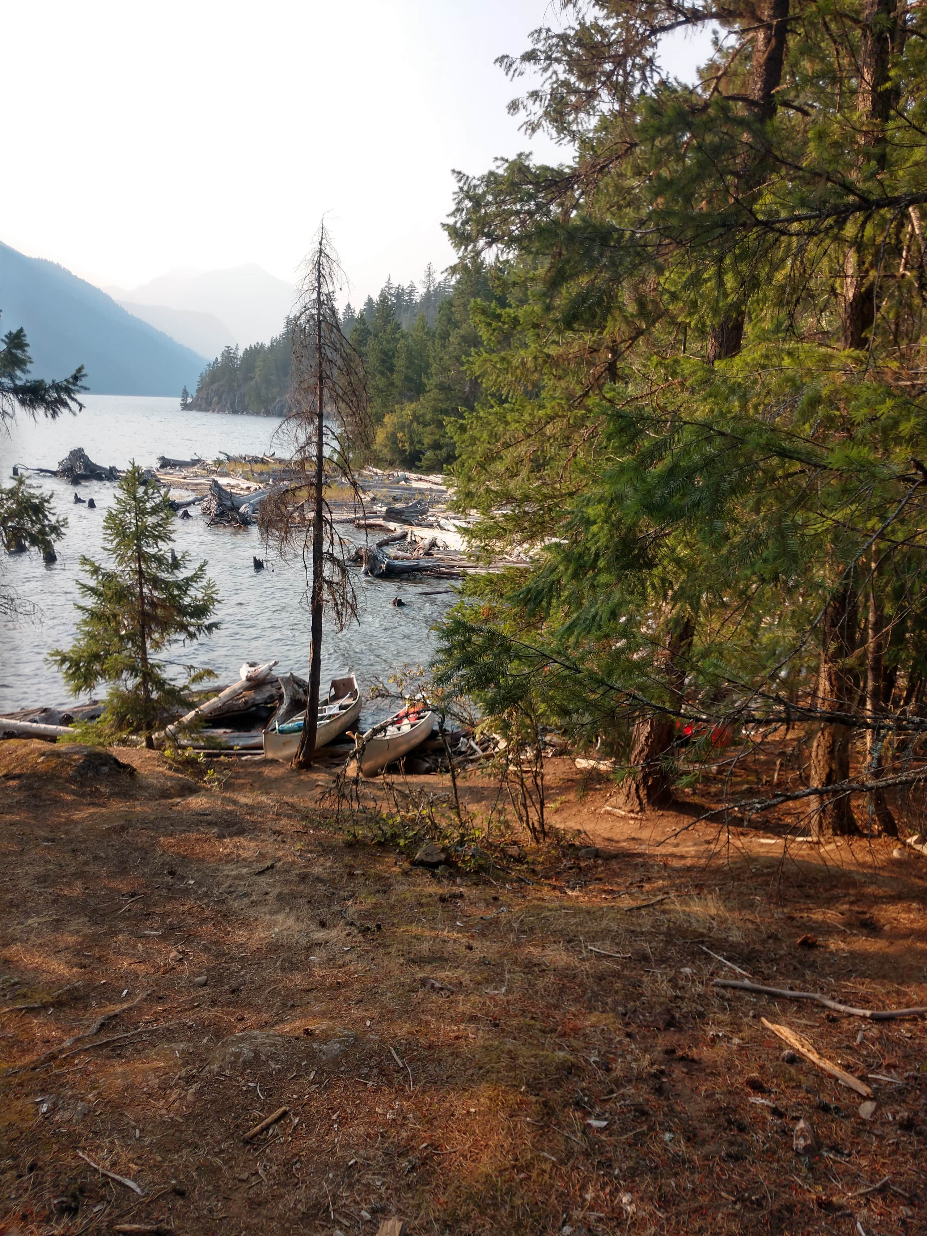 Camping near Corral Pass Campground: Dry Creek Campground, Marblemount, Washington