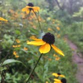 Review photo of Blind Lake Rustic Campground — Pinckney Recreation Area by Michael S., September 7, 2018