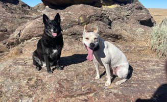 Mo S.'s photo of camping with pets at Balanced Rock County Park near Murphy Hot Springs, ID