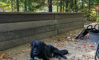 Kevin H.'s photo of camping with pets at COE Philpott Lake Goose Point Park near Claudville, VA