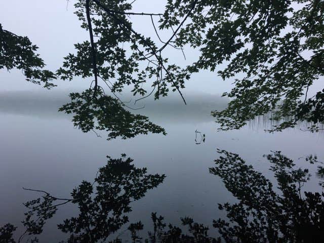 Camper-submitted photo at Blind Lake Rustic Campground — Pinckney Recreation Area near New Hudson, MI