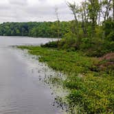 Review photo of Blind Lake Rustic Campground — Pinckney Recreation Area by Michael S., September 7, 2018