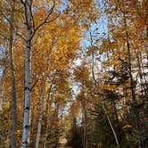 Review photo of Jericho Mountain State Park Campground by Katy Z., October 12, 2022