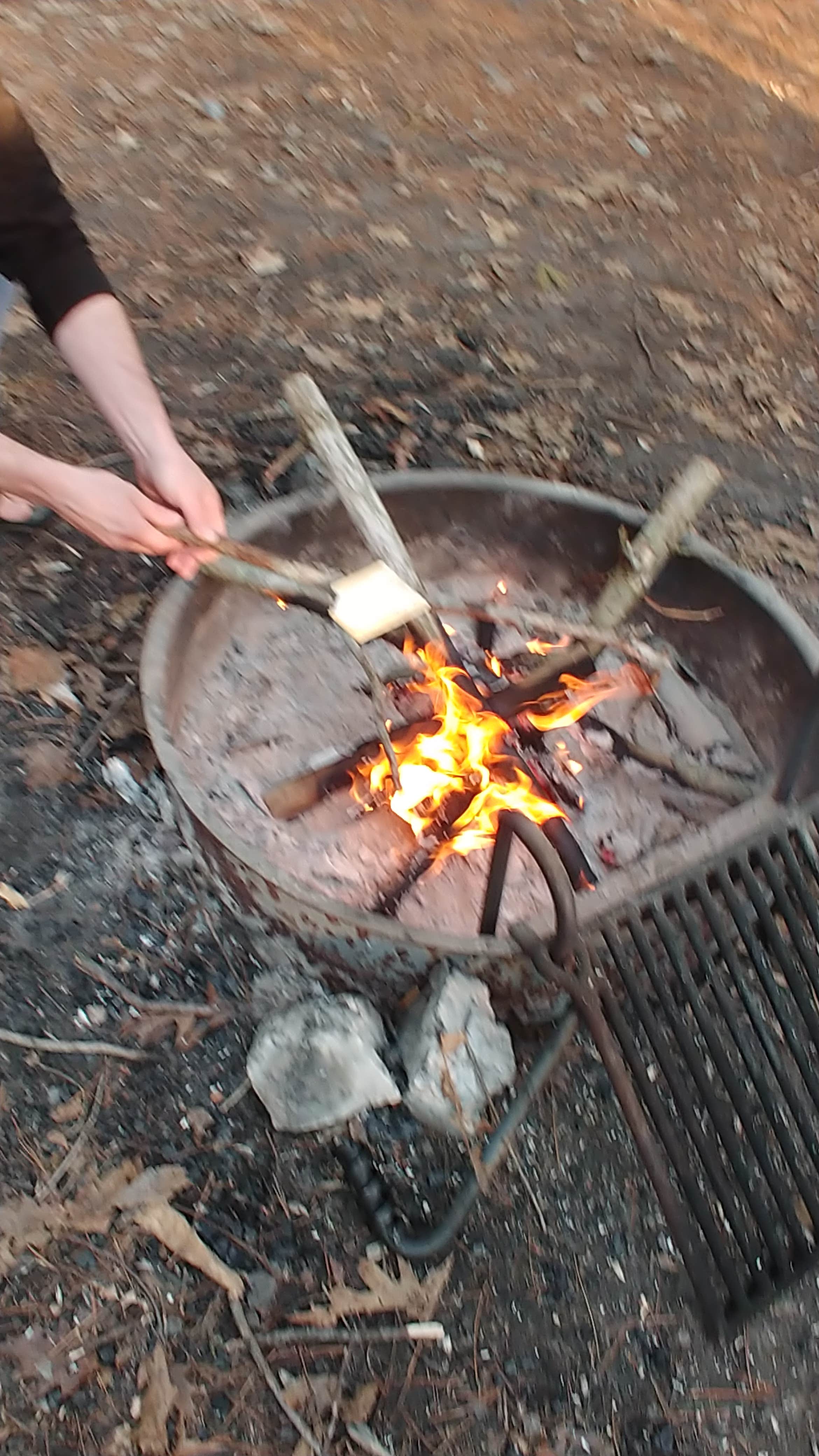 Camper submitted image from Negwegon State Park Campground - 5