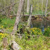 Review photo of Negwegon State Park Campground by Michael S., September 7, 2018