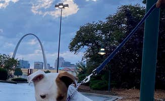 Robert F.'s photo of camping with pets at Draft Kings at Casino Queen RV Park near Alton, IL