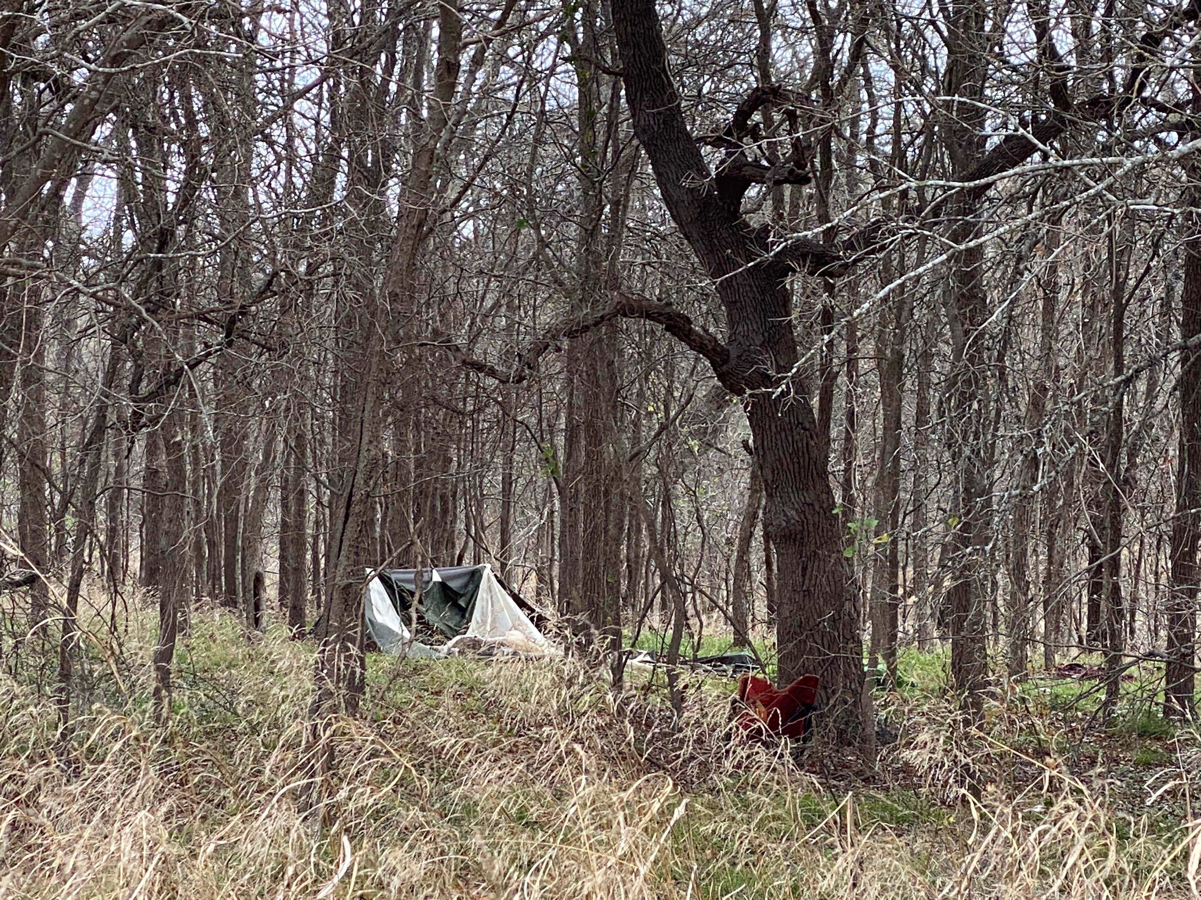 Steve L.'s photo of tent camping at Tejas Park near Georgetown Lake