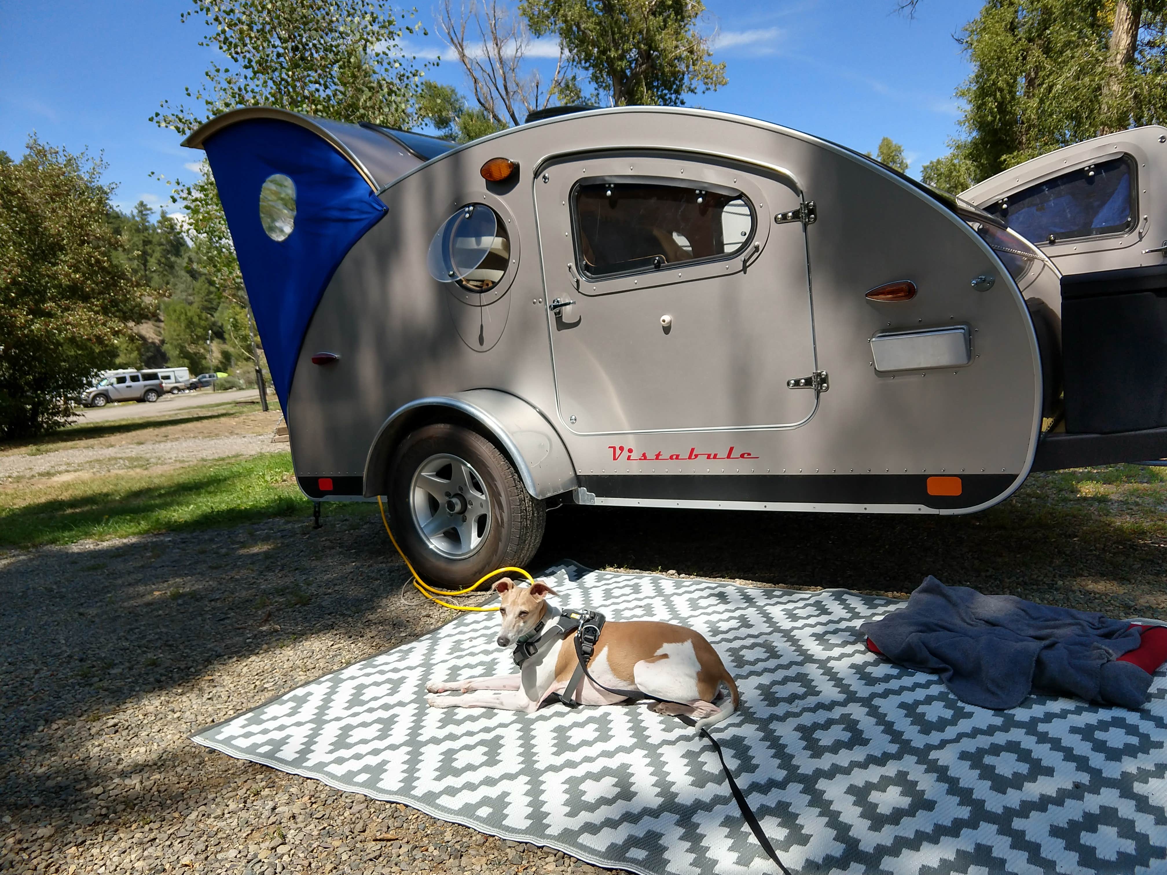 Joanne M.'s photo of camping with pets at Pagosa Riverside Campground near Pagosa Springs, CO