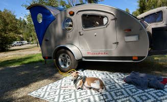 Joanne M.'s photo of camping with pets at Pagosa Riverside Campground near Tierra Amarilla, NM