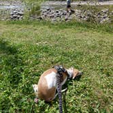 Review photo of Pagosa Riverside Campground by Joanne M., September 7, 2018