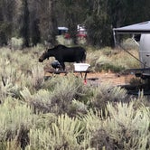 Review photo of Gros Ventre Campground — Grand Teton National Park by Rose C., September 7, 2018