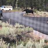 Review photo of Gros Ventre Campground — Grand Teton National Park by Rose C., September 7, 2018
