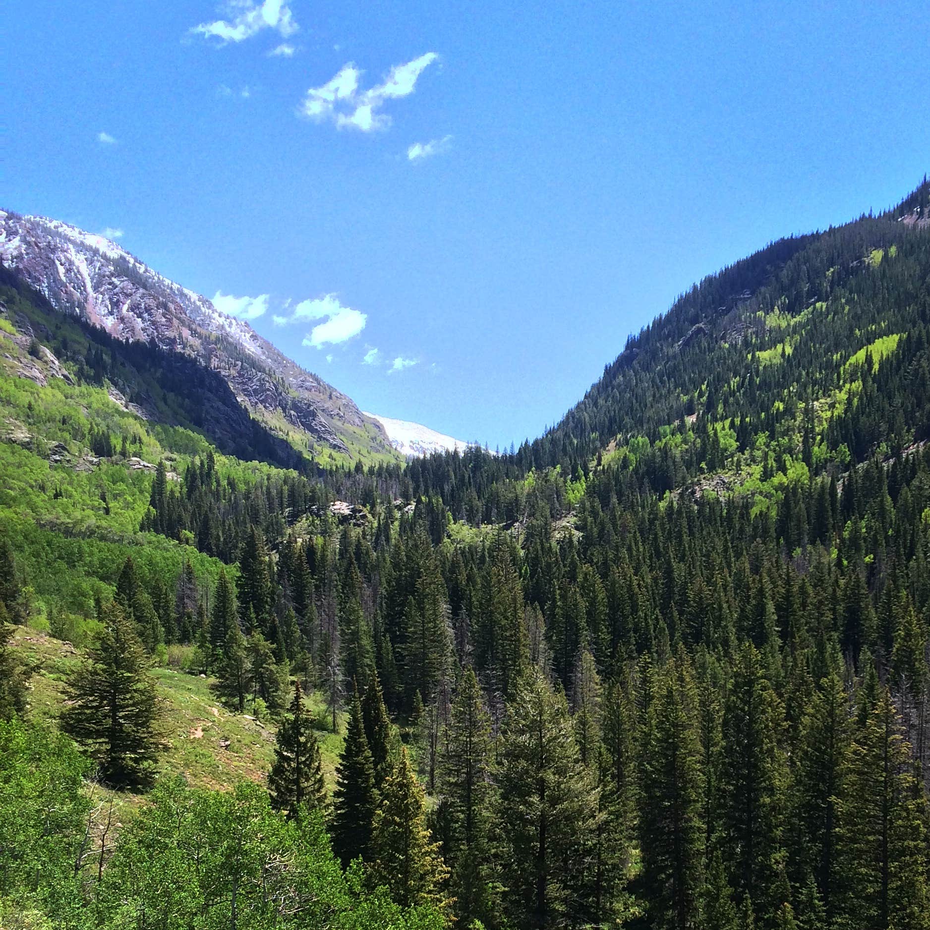 The view from the gore creek hike