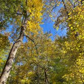 Review photo of Elkmont Campground — Great Smoky Mountains National Park by Megan B., October 12, 2022