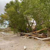 Review photo of Upper Campground - Pahranagat National Wildlife Refuge by Sam B., October 12, 2022